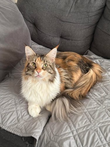 557984515_1538761530484636_3167848656795239711_n